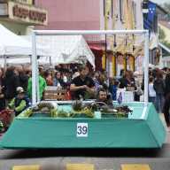 Winzerfest 2019_119