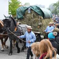 Winzerfest 2019_84